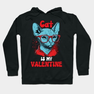 Cat is my Valentine - Funny Valentines Day Saying Quote Gift Ideas For Cats Lovers Hoodie